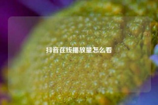 抖音在线播放量怎么看