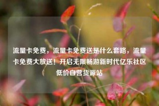 流量卡免费，流量卡免费送是什么套路，流量卡免费大放送！开启无限畅游新时代亿乐社区低价自营货源站