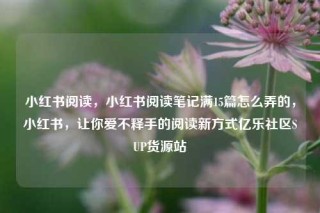 小红书阅读，小红书阅读笔记满15篇怎么弄的，小红书，让你爱不释手的阅读新方式亿乐社区SUP货源站