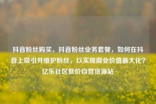 抖音粉丝购买，抖音粉丝业务套餐，如何在抖音上吸引并维护粉丝，以实现商业价值最大化？亿乐社区低价自营货源站