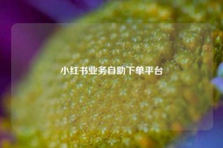 小红书业务自助下单平台