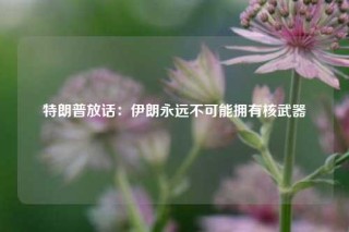 特朗普放话：伊朗永远不可能拥有核武器