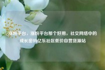 涨粉平台，涨粉平台那个好用，社交网络中的成长密码亿乐社区低价自营货源站