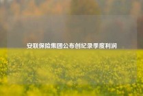 安联保险集团公布创纪录季度利润