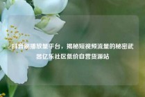 抖音刷播放量平台，揭秘短视频流量的秘密武器亿乐社区低价自营货源站