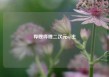 哔哩哔哩二次元up主