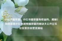 小红书播放量，小红书播放量有收益吗，揭秘！如何提高小红书视频播放量的秘诀大公开亿乐社区低价自营货源站