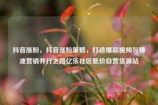 抖音涨粉，抖音涨粉策略，打造爆款视频与精准营销并行之路亿乐社区低价自营货源站