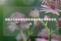 消息人士称美国和阿联酋最终敲定技术框架协议