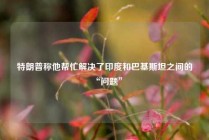 特朗普称他帮忙解决了印度和巴基斯坦之间的“问题”