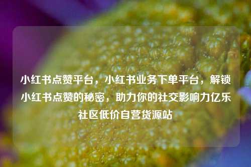 小红书点赞平台，小红书业务下单平台	，解锁小红书点赞的秘密，助力你的社交影响力亿乐社区低价自营货源站  第1张