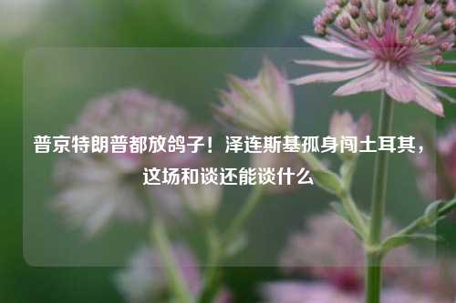 普京特朗普都放鸽子！泽连斯基孤身闯土耳其	，这场和谈还能谈什么  第1张