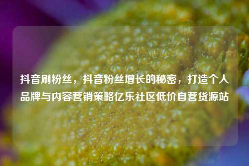抖音刷粉丝，抖音粉丝增长的秘密，打造个人品牌与内容营销策略亿乐社区低价自营货源站  第1张