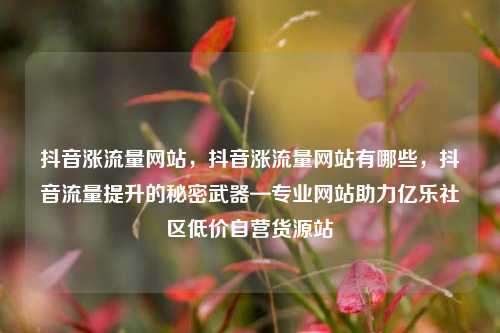 抖音涨流量网站，抖音涨流量网站有哪些	，抖音流量提升的秘密武器—专业网站助力亿乐社区低价自营货源站  第1张