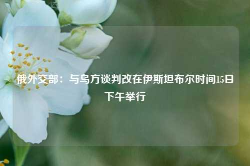 俄外交部：与乌方谈判改在伊斯坦布尔时间15日下午举行  第1张