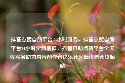 抖音点赞自助平台24小时服务，抖音点赞自助平台24小时全网最低	，抖音自助点赞平台全天候服务助力内容创作者亿乐社区低价自营货源站  第1张