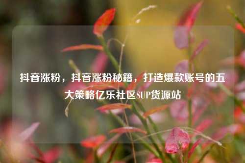 抖音涨粉	，抖音涨粉秘籍，打造爆款账号的五大策略亿乐社区SUP货源站  第1张