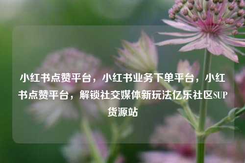 小红书点赞平台	，小红书业务下单平台，小红书点赞平台，解锁社交媒体新玩法亿乐社区SUP货源站  第1张