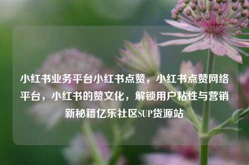 小红书业务平台小红书点赞，小红书点赞网络平台，小红书的赞文化	，解锁用户粘性与营销新秘籍亿乐社区SUP货源站  第1张