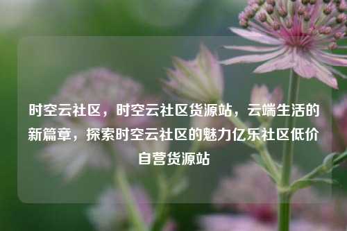 时空云社区	，时空云社区货源站，云端生活的新篇章，探索时空云社区的魅力亿乐社区低价自营货源站  第1张