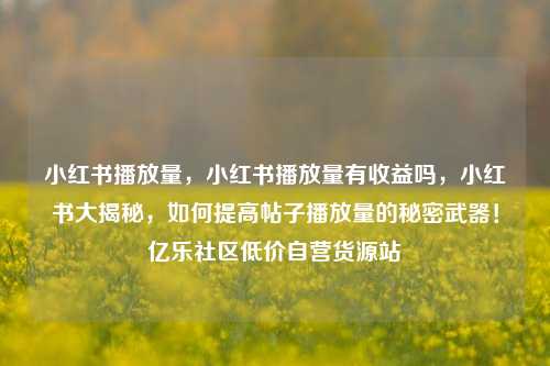 小红书播放量，小红书播放量有收益吗，小红书大揭秘	，如何提高帖子播放量的秘密武器！亿乐社区低价自营货源站  第1张