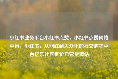 小红书业务平台小红书点赞，小红书点赞网络平台	，小红书，从网红到大众化的社交购物平台亿乐社区低价自营货源站  第1张