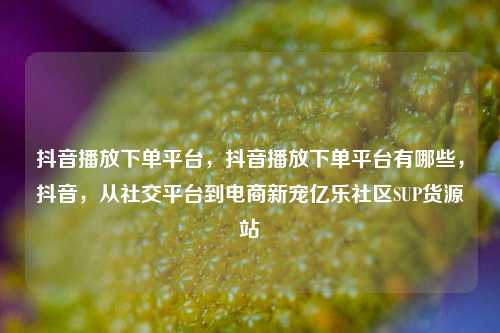 抖音播放下单平台，抖音播放下单平台有哪些，抖音，从社交平台到电商新宠亿乐社区SUP货源站  第1张