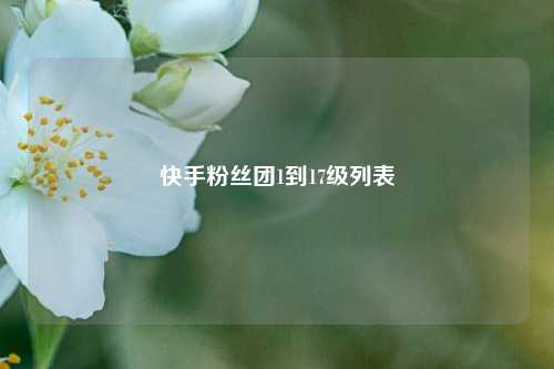 快手粉丝团1到17级列表  第1张