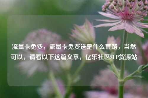 流量卡免费	，流量卡免费送是什么套路，当然可以，请看以下这篇文章，亿乐社区SUP货源站  第1张
