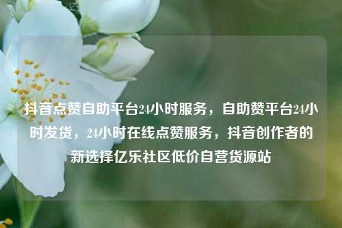 抖音点赞自助平台24小时服务	，自助赞平台24小时发货，24小时在线点赞服务，抖音创作者的新选择亿乐社区低价自营货源站  第1张