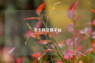 发卡网交易平台