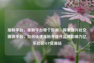 涨粉平台，涨粉平台那个好用，探索新兴社交媒体平台，如何快速涨粉并提升品牌影响力亿乐社区SUP货源站