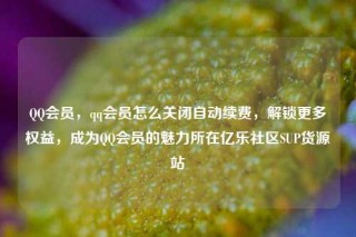 QQ会员，qq会员怎么关闭自动续费，解锁更多权益，成为QQ会员的魅力所在亿乐社区SUP货源站