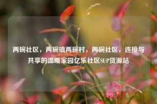 两碗社区，两碗镇两碗村，两碗社区，连接与共享的温暖家园亿乐社区SUP货源站