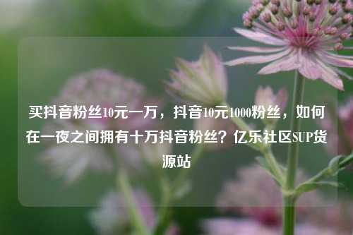 买抖音粉丝10元一万	，抖音10元1000粉丝，如何在一夜之间拥有十万抖音粉丝？亿乐社区SUP货源站  第1张