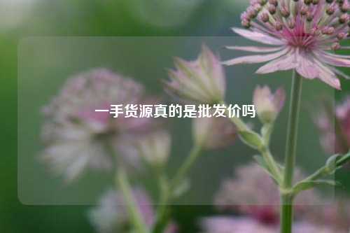 一手货源真的是批发价吗  第1张