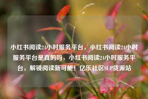 小红书阅读24小时服务平台，小红书阅读24小时服务平台是真的吗，小红书阅读24小时服务平台	，解锁阅读新可能！亿乐社区SUP货源站  第1张